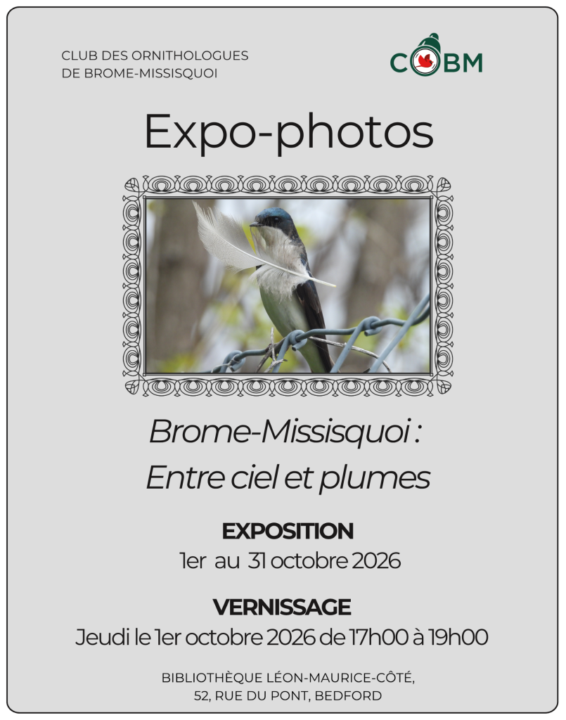 Affiche Expo-photos COBM 2026